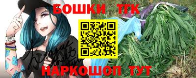 гашик Гуково