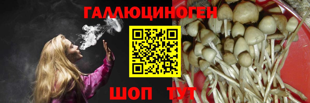 Псилоцибиновые грибы MAGIC MUSHROOMS  Вход с VPN  Реж 